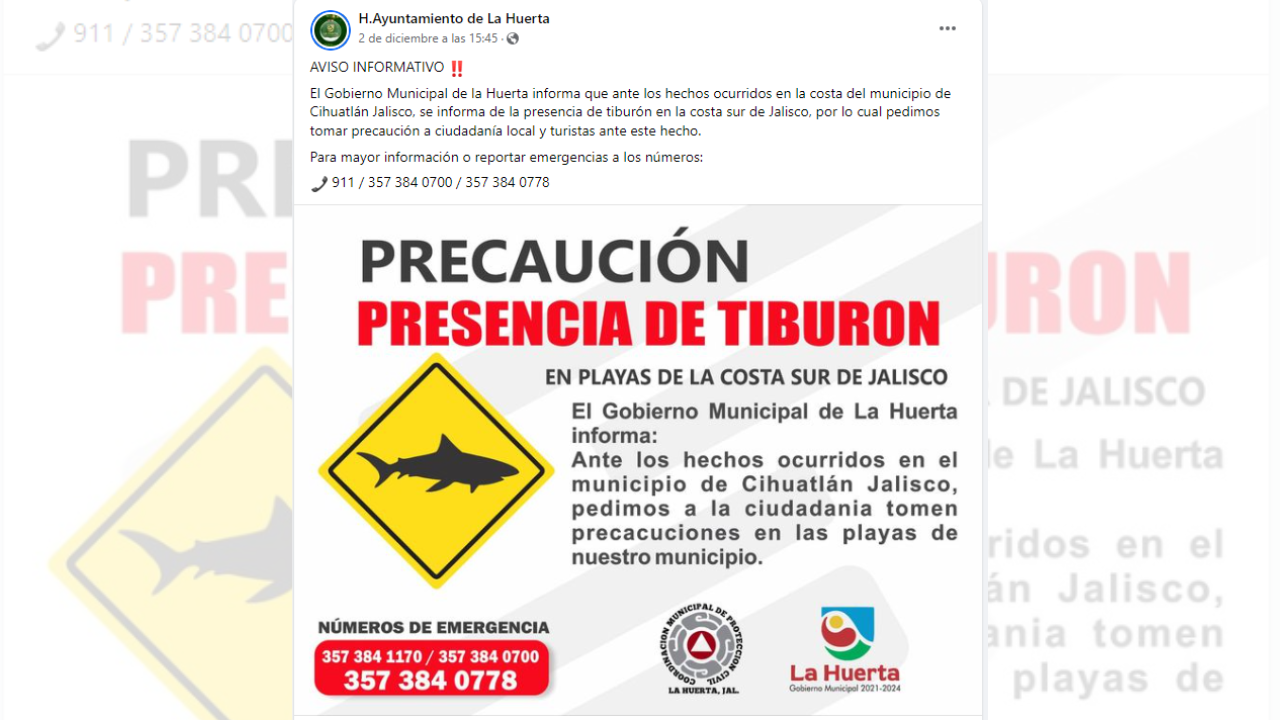 tiburon ataca a mujer en jalisco