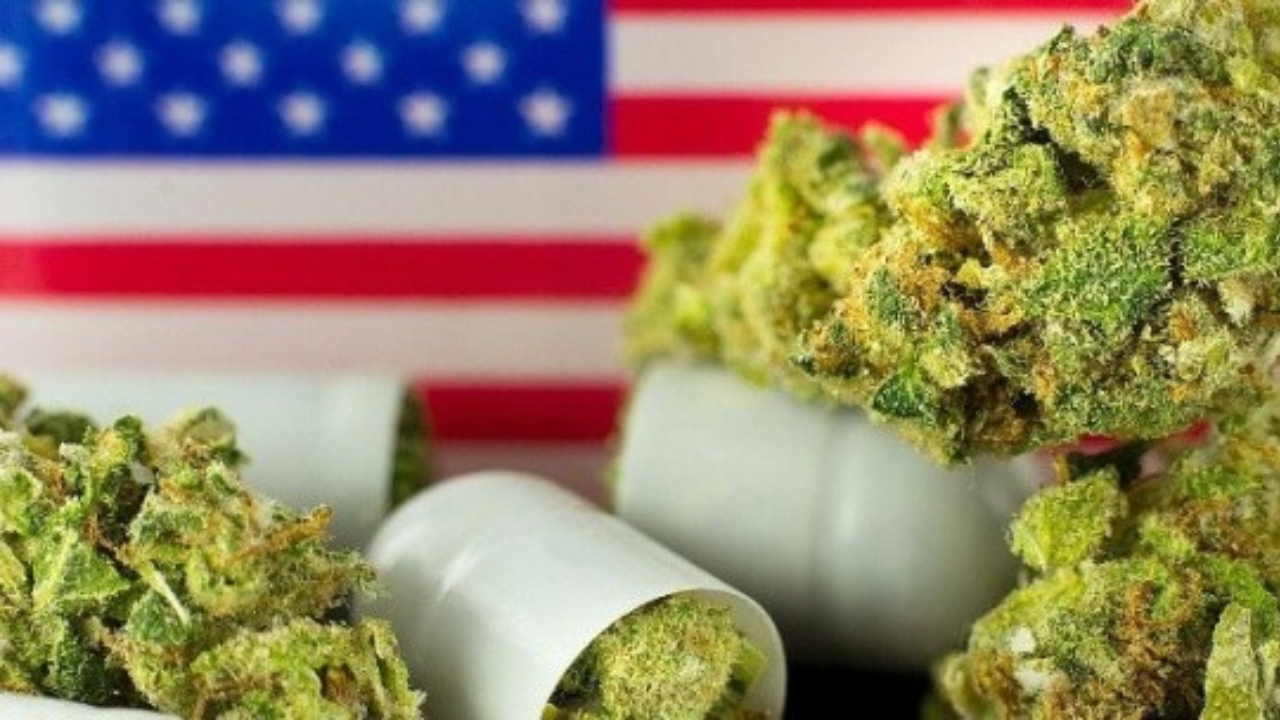 Estados Unidos contempla la reclasificación de la marihuana para mitigar su percepción de riesgo