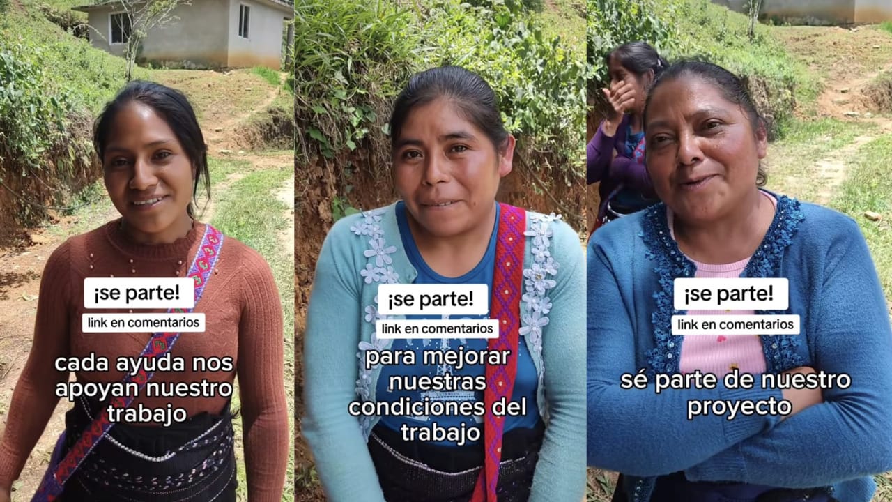 mujeres chiapanecas chiapas cafe zoque agricultoras caficultoras